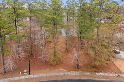 716 Mcduffie Dr.  photo 4