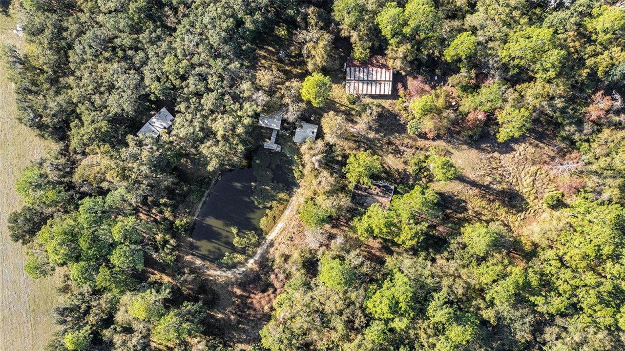 102 SW 109th Place, Micanopy, FL 32667 Photo