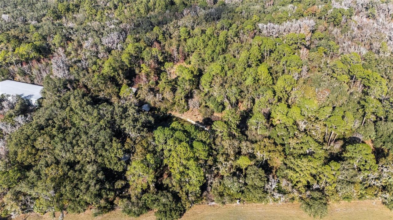 102 SW 109th Place, Micanopy, FL 32667 Photo