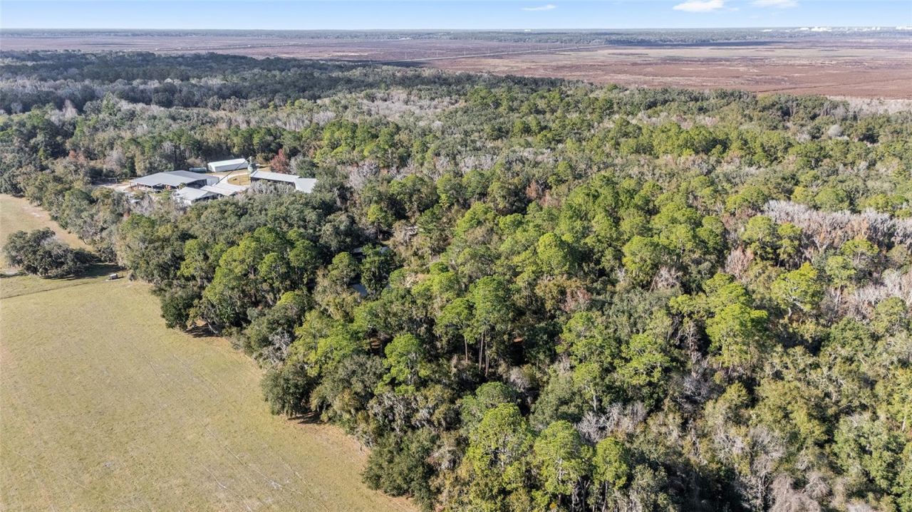 102 SW 109th Place, Micanopy, FL 32667 Photo