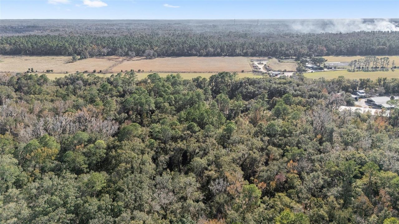 102 SW 109th Place, Micanopy, FL 32667 Photo