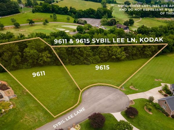 9615 Sybil Lee Lane, Kodak, TN 37764