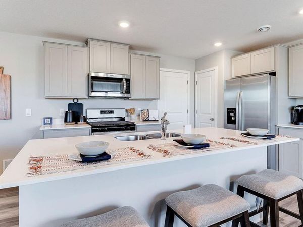 13689 Ringneck Way, Rogers, MN 55374