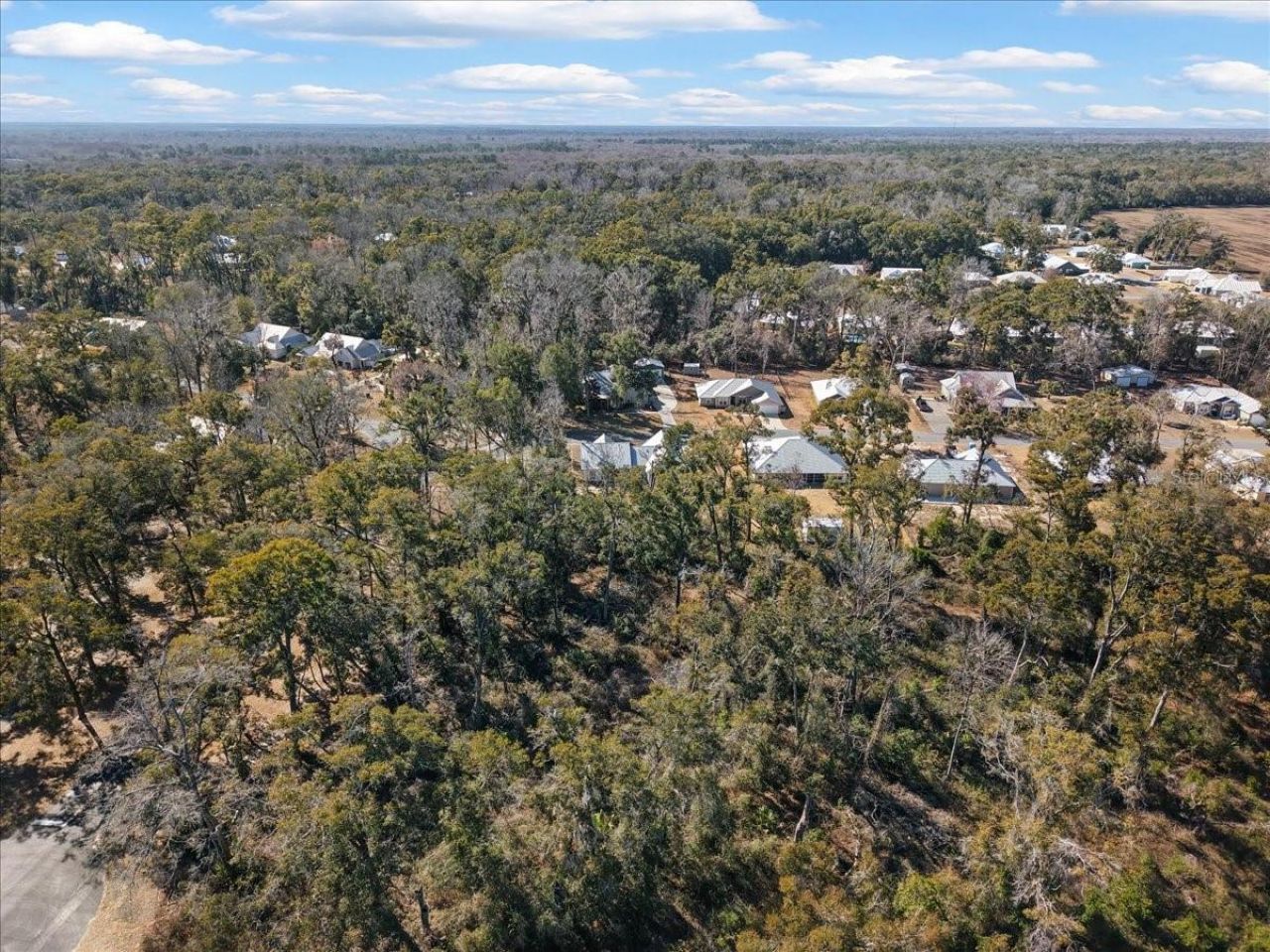 9140 Dorie Drive, Fanning Springs, FL 32693 Photo