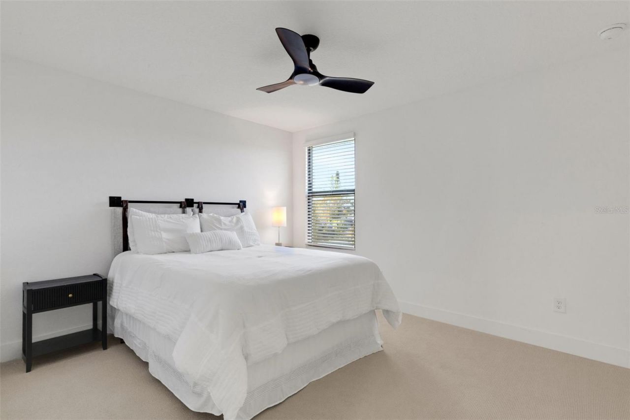 2524 Cobalt Shores Lane, Clearwater, FL 33761 Photo