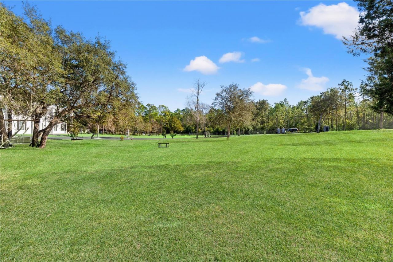 14485 Switch Back Road, Spring Hill, FL 34609 Photo