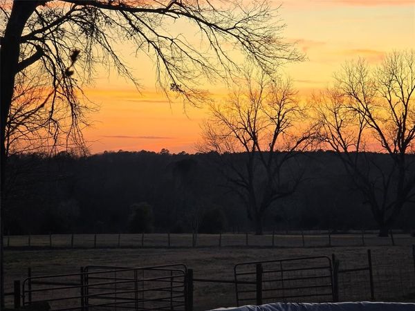 20086 County Road 299, Arp, TX 75750