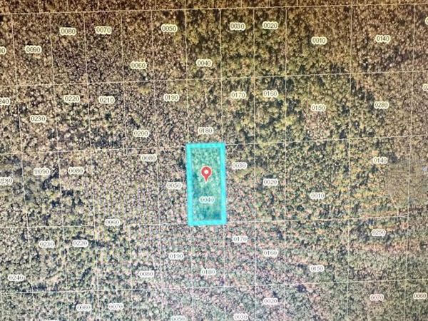 NO STREET, LAKE HELEN, FL 32744