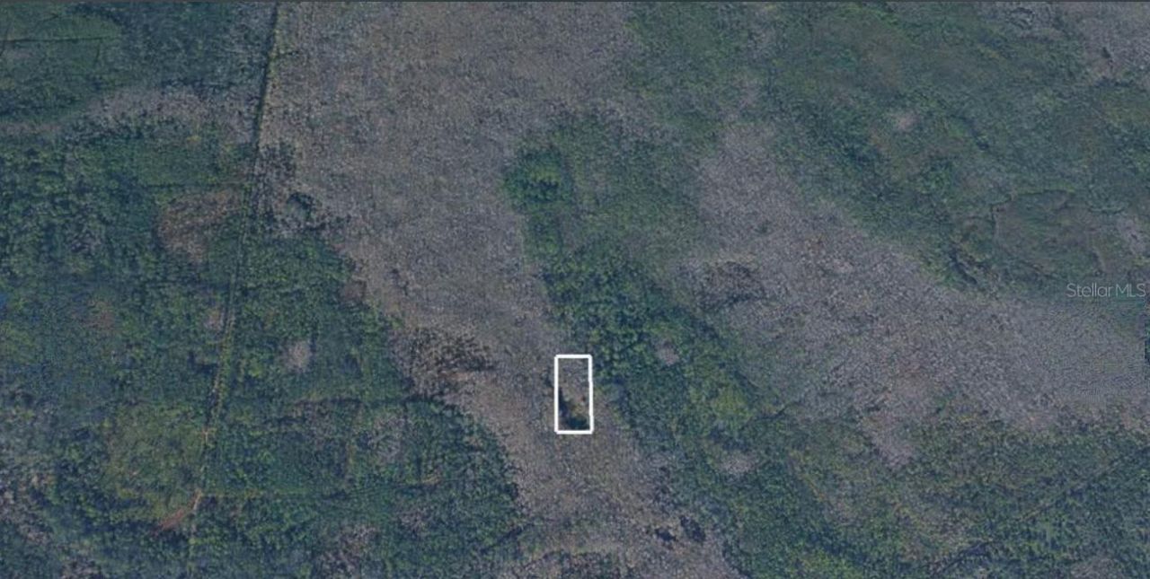 No Street, Lake Helen, FL 32744 Photo