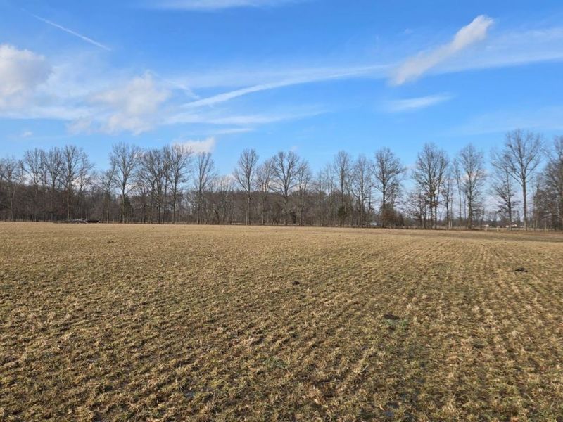 1 Greenbush West Road, Sterling Twp, OH 45176 Photo 10