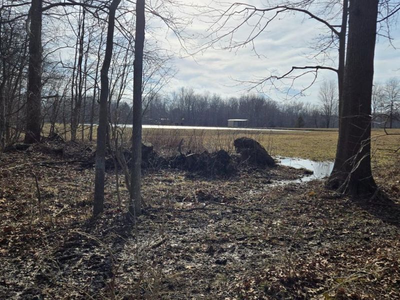 1 Greenbush West Road, Sterling Twp, OH 45176 Photo 11