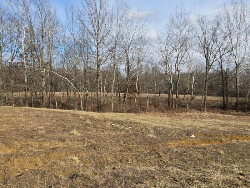 1 Greenbush West Road, Sterling Twp, OH 45176 Photo 17