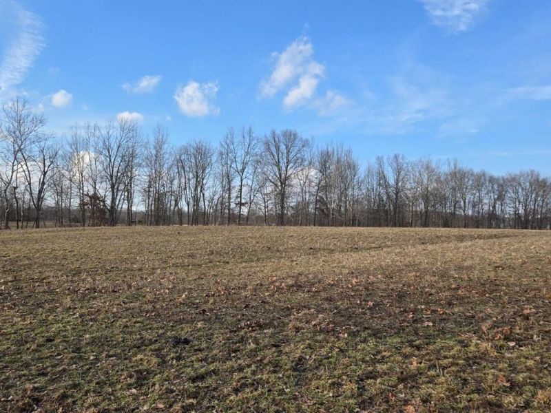 1 Greenbush West Road, Sterling Twp, OH 45176 Photo 23