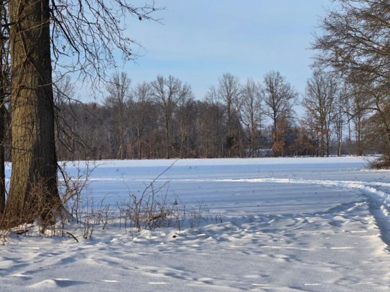 1 Greenbush West Road, Sterling Twp, OH 45176 Photo 26