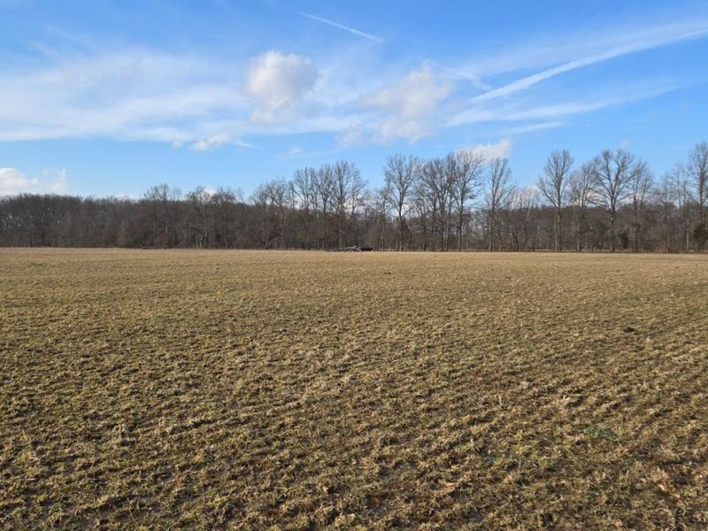 1 Greenbush West Road, Sterling Twp, OH 45176 Photo 6