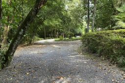 523 W Carolina Avenue photo 4