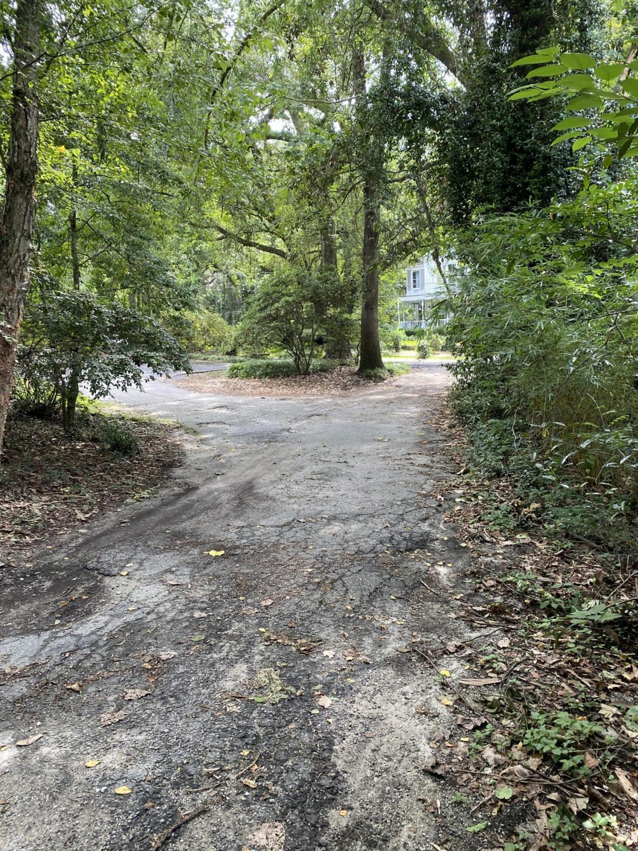 523 W Carolina Avenue Photo 4