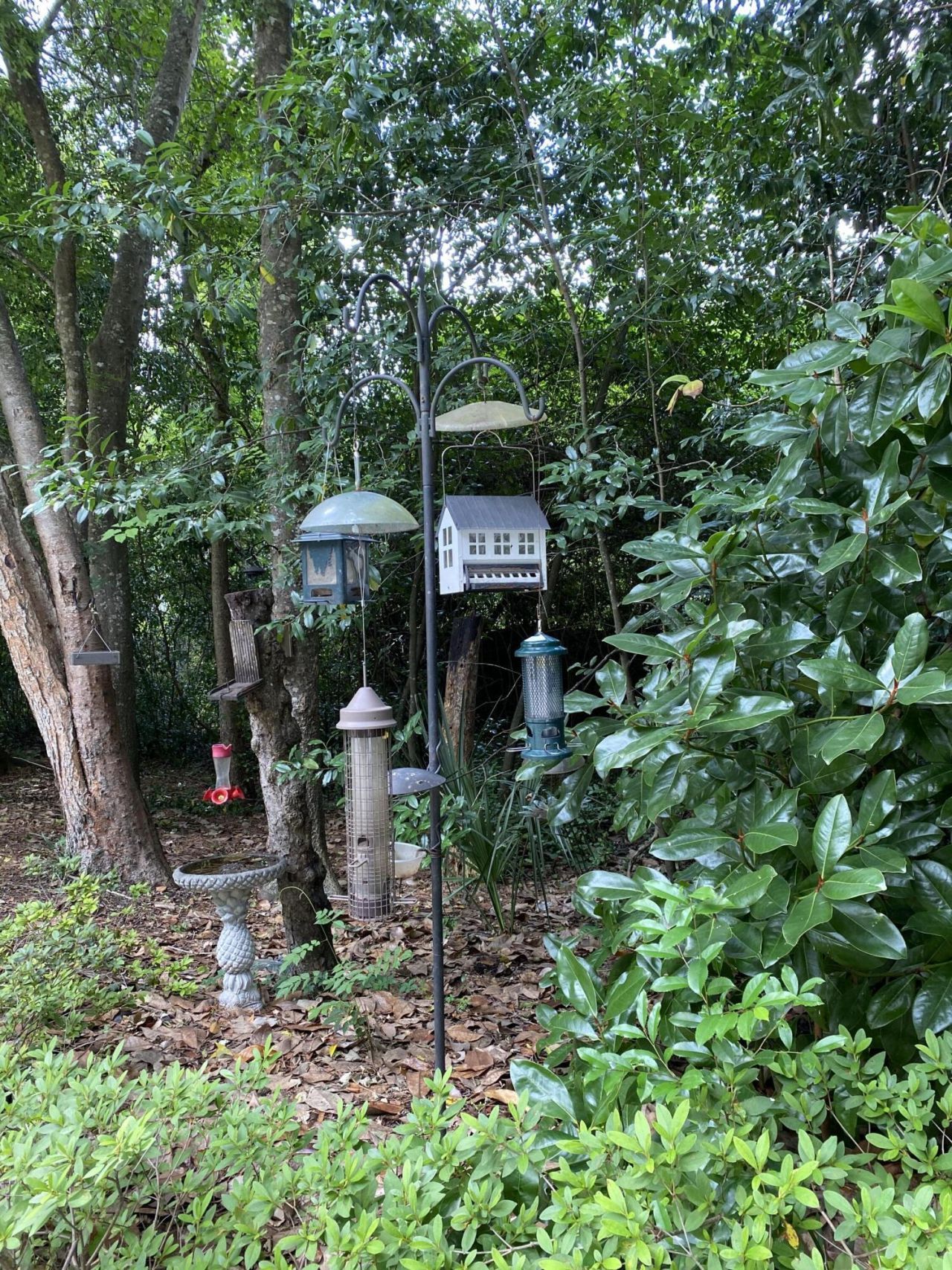 523 W Carolina Avenue Photo 5