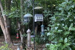 523 W Carolina Avenue photo 4