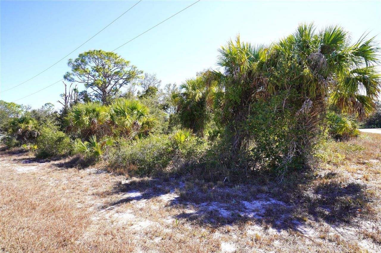 17129 Wintergarden Avenue, Port Charlotte, FL 33948 Photo