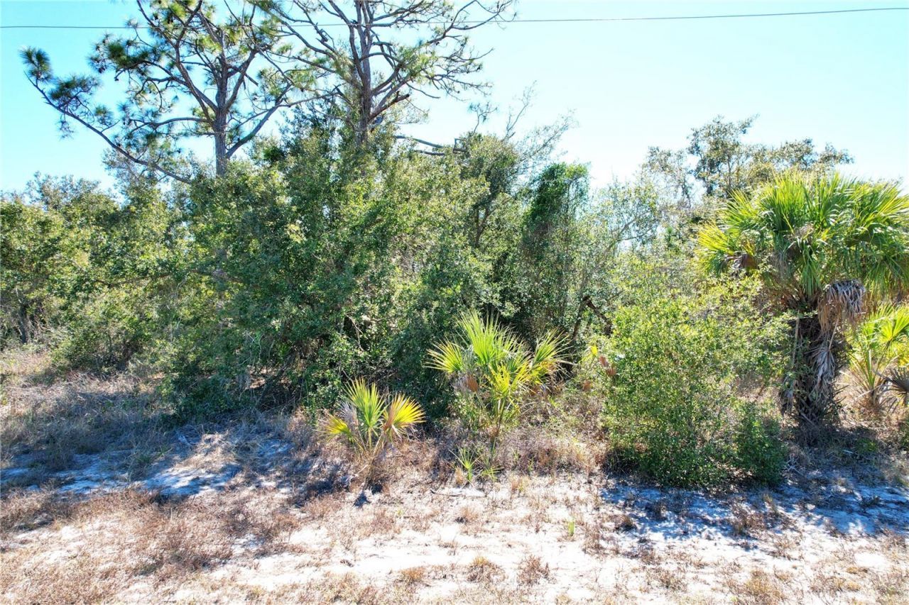 17129 Wintergarden Avenue, Port Charlotte, FL 33948 Photo