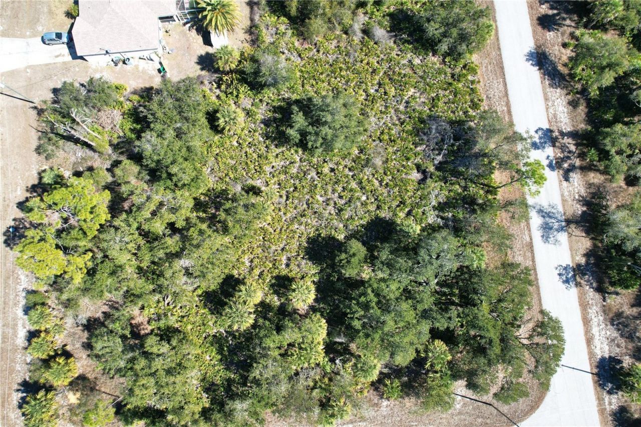 17129 Wintergarden Avenue, Port Charlotte, FL 33948 Photo