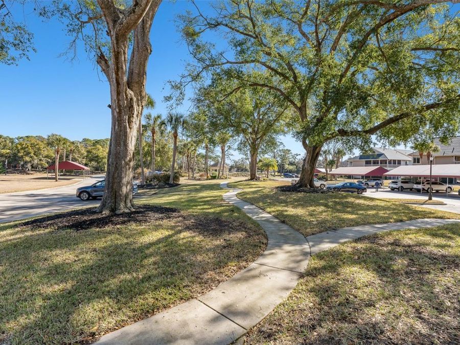 Property Image 86