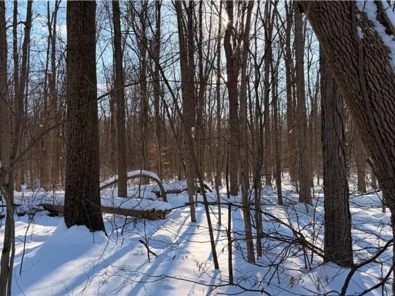 Progress Boulevard, Tallmadge, OH 44240 Photo 10