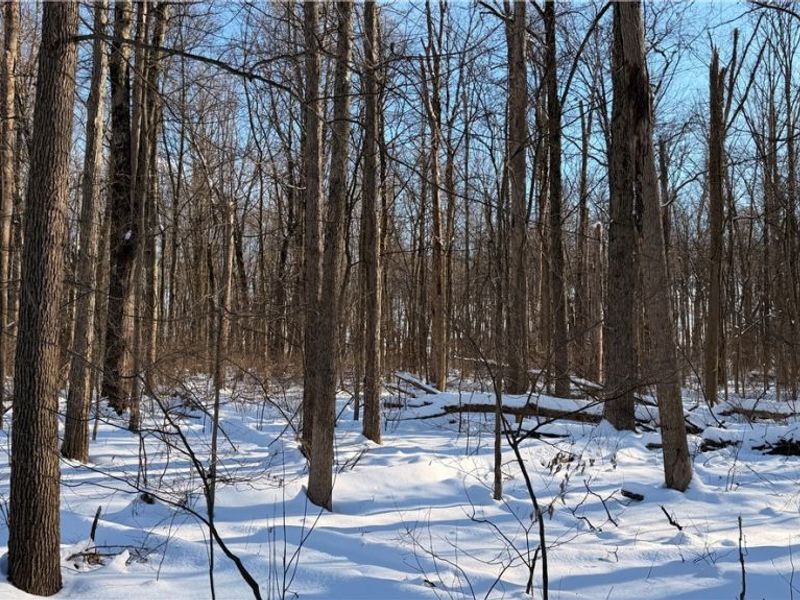 Progress Boulevard, Tallmadge, OH 44240 Photo 4