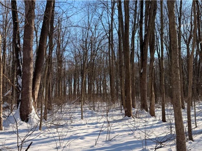 Progress Boulevard, Tallmadge, OH 44240 Photo 5