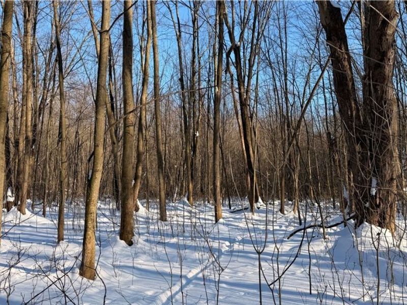 Progress Boulevard, Tallmadge, OH 44240 Photo 7