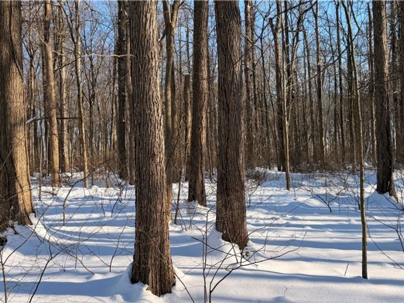 Progress Boulevard, Tallmadge, OH 44240 Photo 9