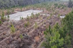 Lot 7 Amos Rd  photo 4