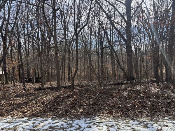 374 Bonnie Court, Varna, IL 61375