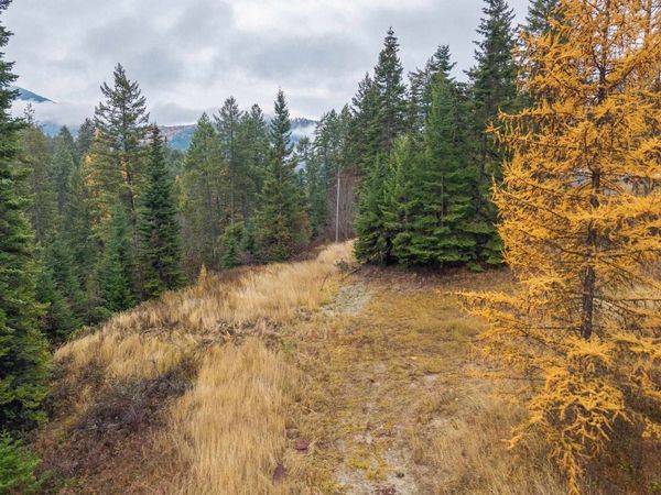 717 C Finley Gulch Rd, Colville, WA 99114