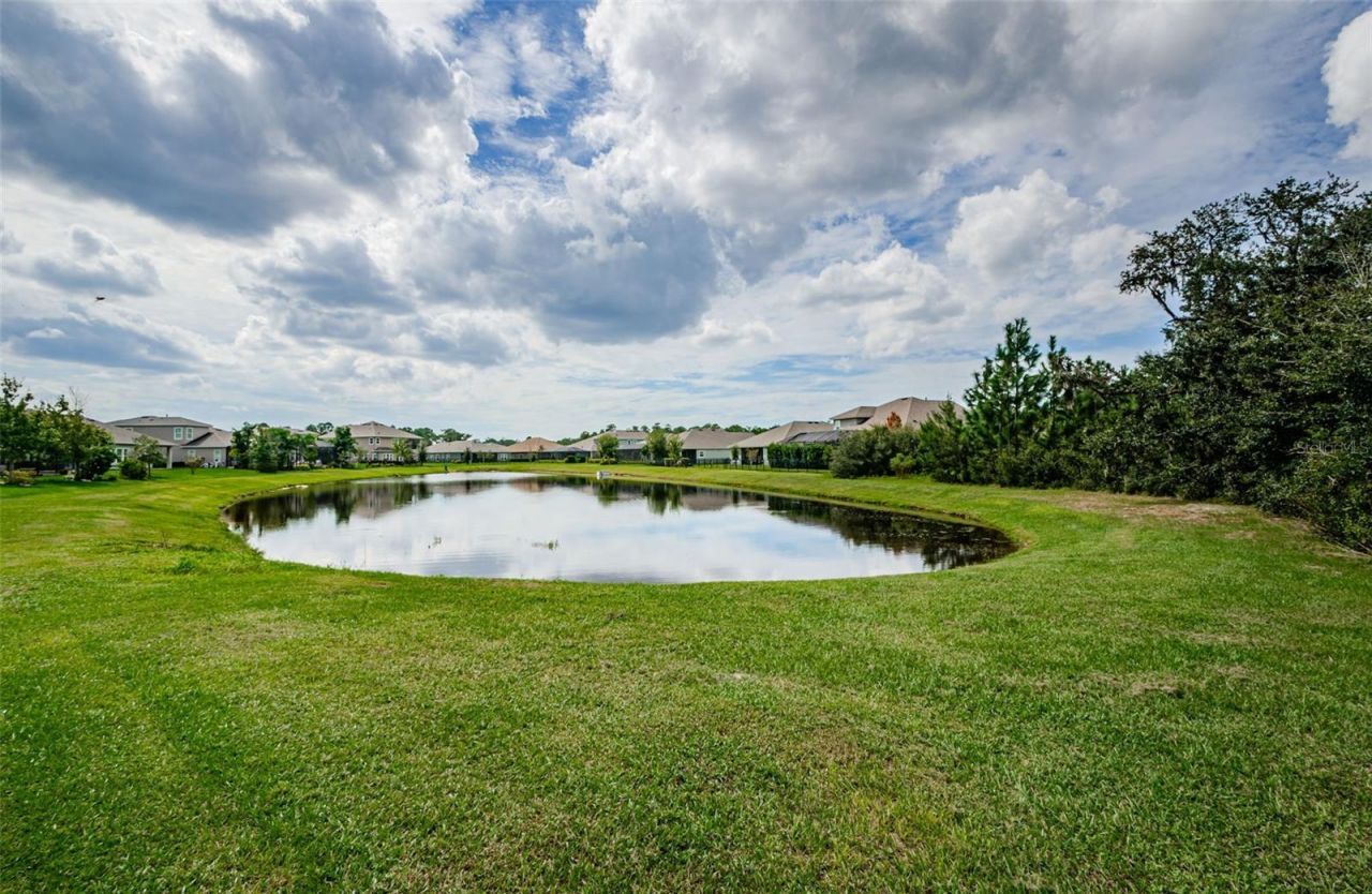 4243 Glade Wood Loop, New Port Richey, FL 34655 Photo