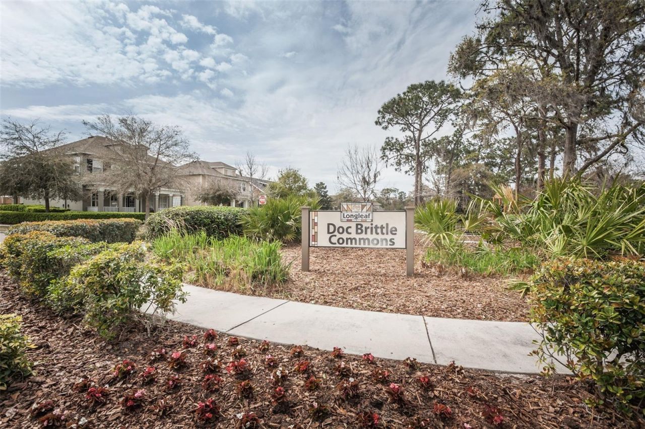 4243 Glade Wood Loop, New Port Richey, FL 34655 Photo