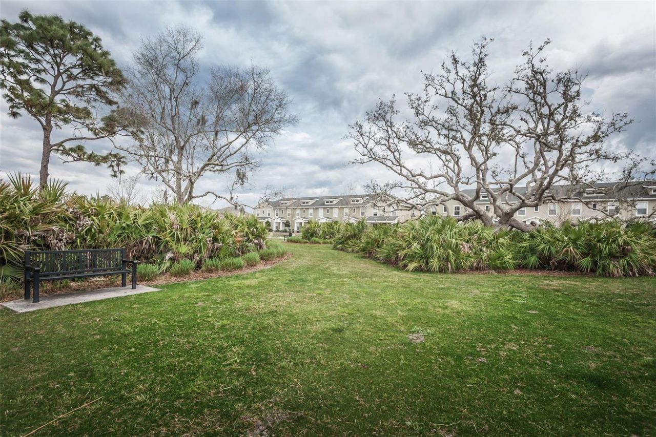 4243 Glade Wood Loop, New Port Richey, FL 34655 Photo