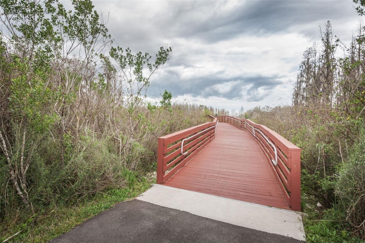 4243 Glade Wood Loop, New Port Richey, FL 34655 Photo