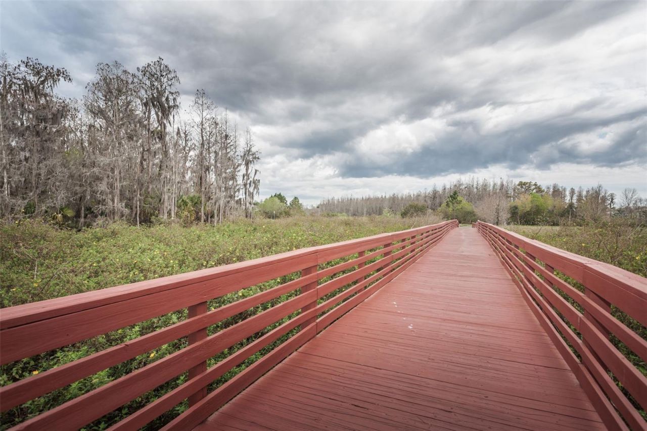 4243 Glade Wood Loop, New Port Richey, FL 34655 Photo