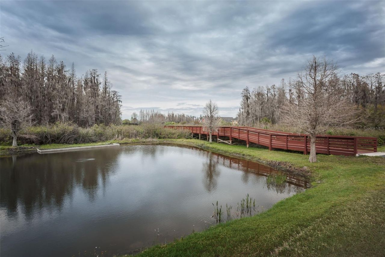 4243 Glade Wood Loop, New Port Richey, FL 34655 Photo