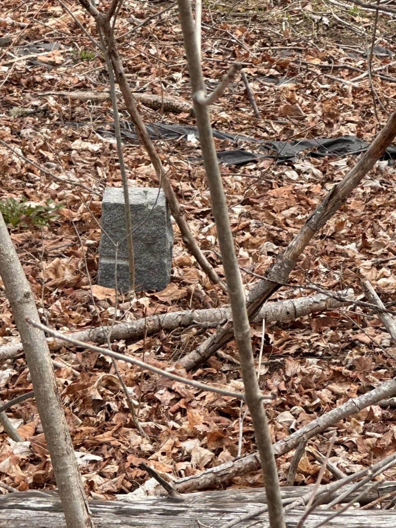 59 Gardiner Road, Dresden, ME 04342 Main Photo