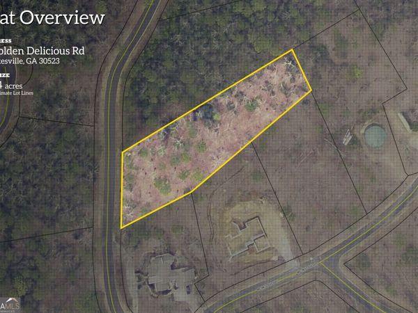0 Golden Delicious Road, Clarkesville, GA 30523