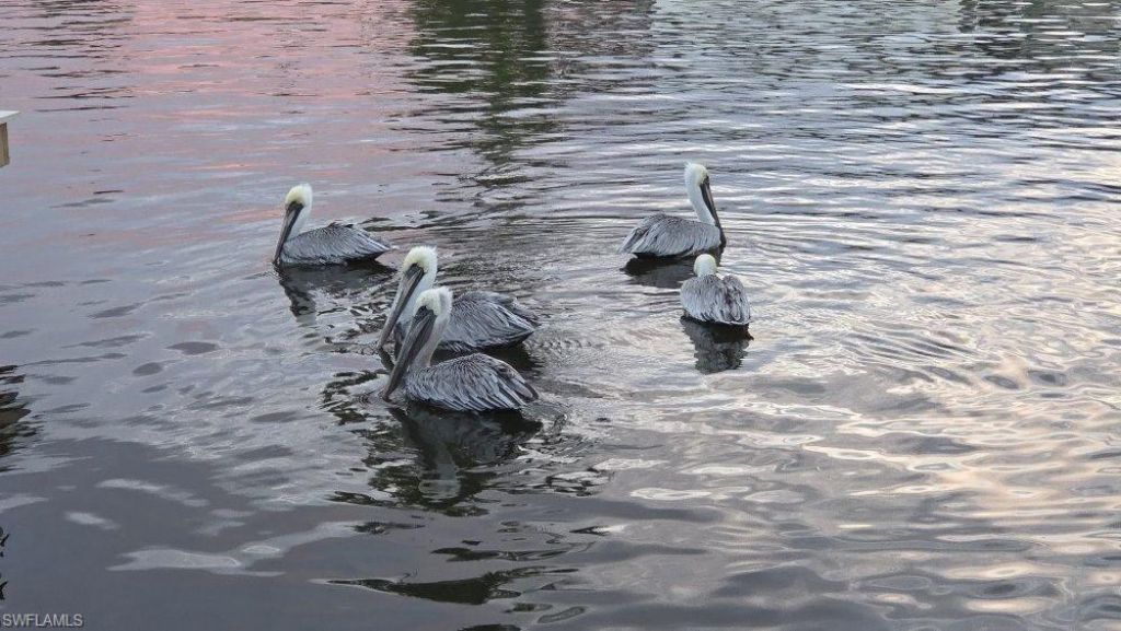 3211 Stringfellow Rd, Unit 105, Saint James City, FL 33956 Photo