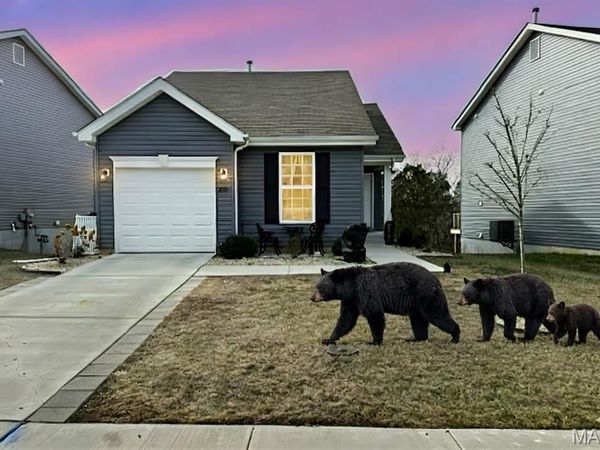 821 Black Bear Drive, House Springs, MO 63051