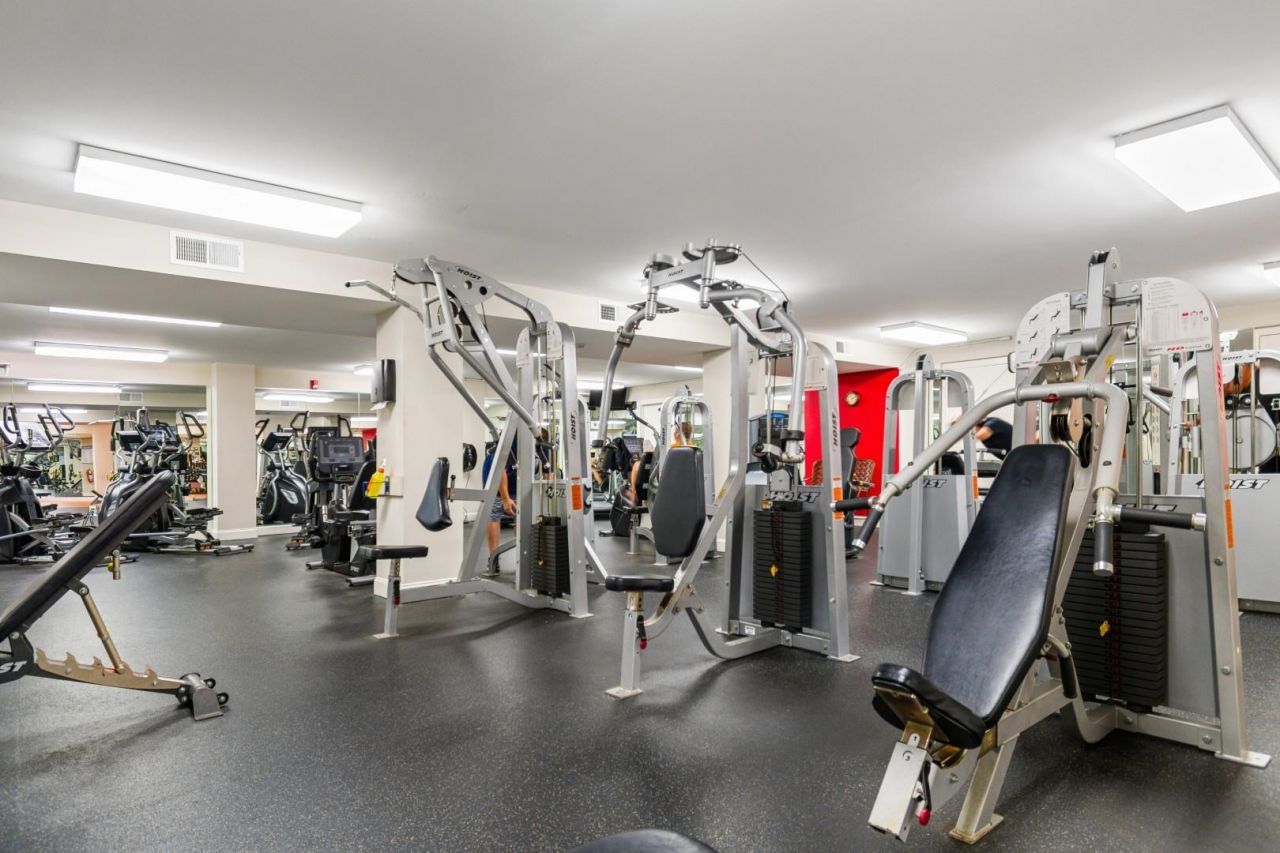 172 Viareggio Rd. Photo 41