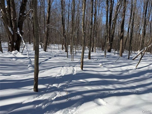 Cemetery Hill Road, Franklinville, NY 14737