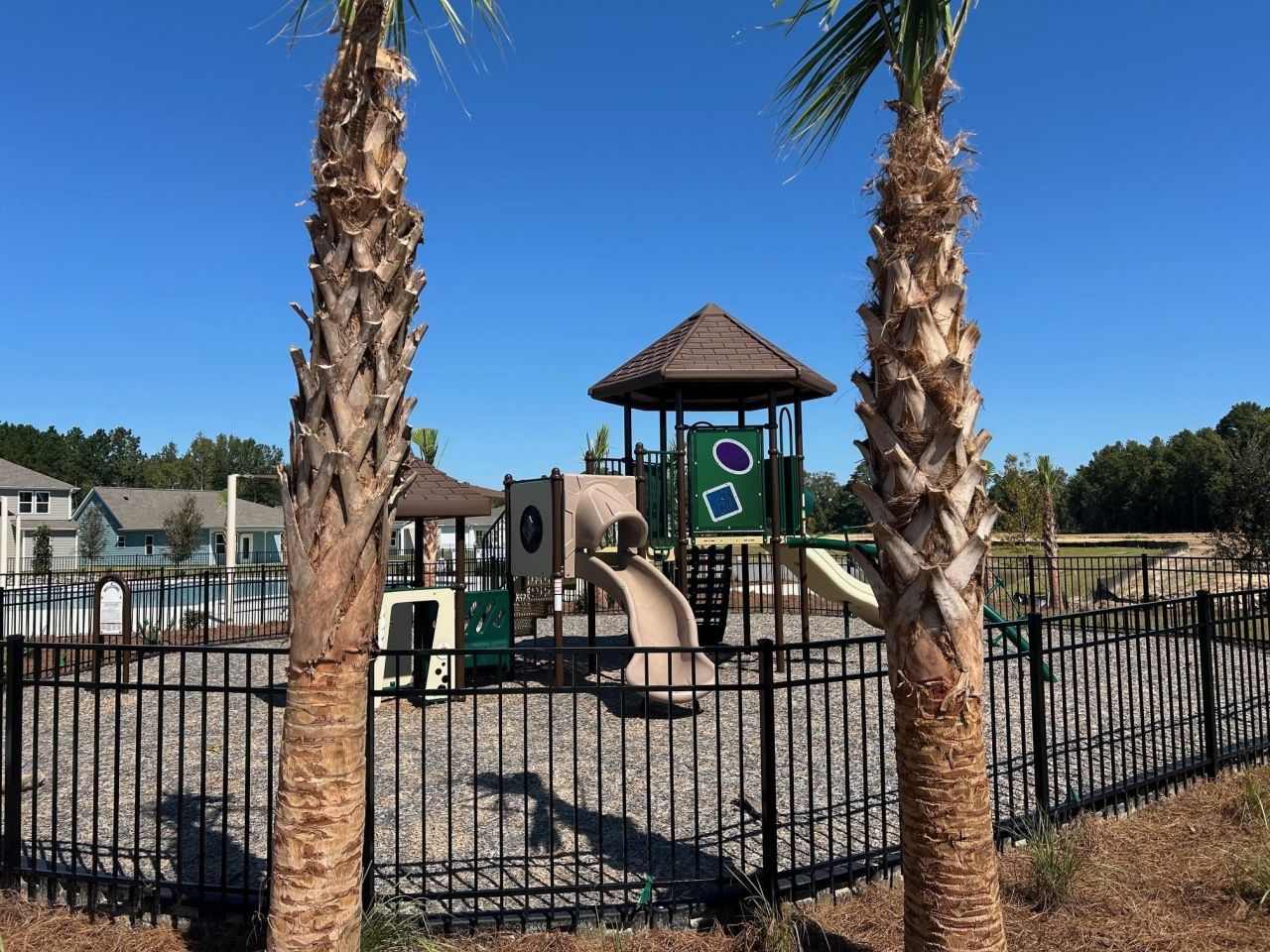 2521 Spring Rise Dr Photo 15