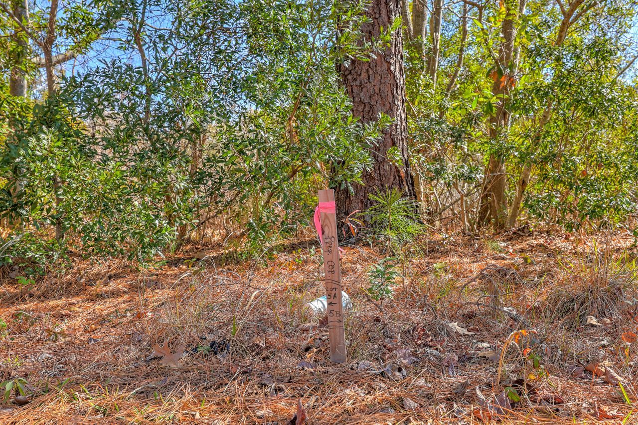 1502 Eagle Landing Boulevard Photo 9