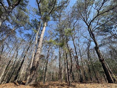 126 Folk Road , Blythewood, SC 29016